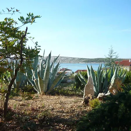 Apartamento Barbat 9 *